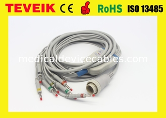 Teveik Factory Price of 10 Leads Kenz 103،106 ECG EKG Cable، Banana 4.0 IEC 4.7K Resistor
