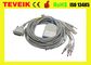 الجهاز الطبي schiller EKG Cable مع Banana 4.0 IEC 10K resistor، 10 ecg cable lead